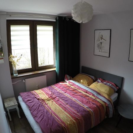 Apartament Apartament Bieszczady Ustrzyki Dolne Zewnętrze zdjęcie