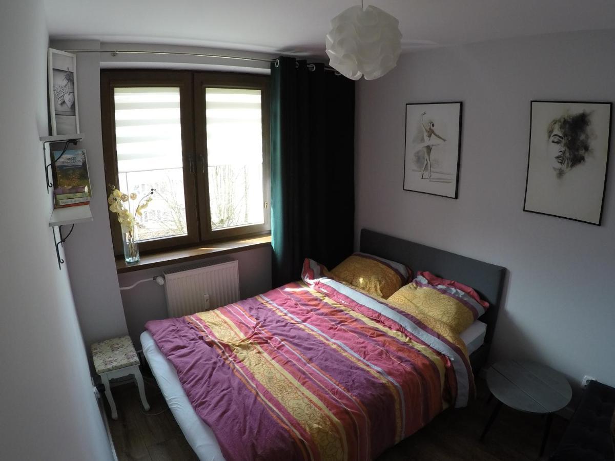 Apartament Apartament Bieszczady Ustrzyki Dolne Zewnętrze zdjęcie